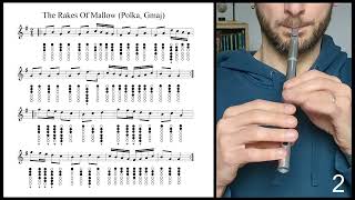 Tin Whistle Tuto  The Rakes Of Mallow Polka Gmaj [upl. by Sweatt820]