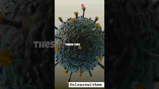 quotHow Viruses Reach Your Brain Explained Simply 🧠🔍  Short Science Videoquot [upl. by Amaryllis]