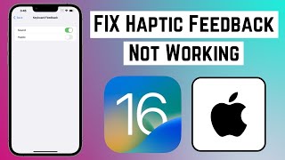 How to Fix Haptic Feedback Not Working in iOS 16 on iPhone amp iPad [upl. by Nnylecoj]