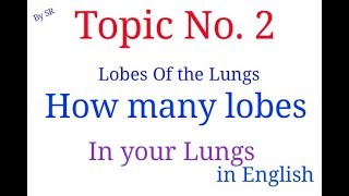 Broncho pulmonary segmentsLobes of LungsRespiratory system [upl. by Lody436]