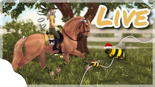 🟣LIVE🟣DIE WEIHNACHTSZEIT BEGINNT wir bereiten uns darauf vor🎄usw  Server 18🌈  SSO  Bellami👾 [upl. by Sivie621]