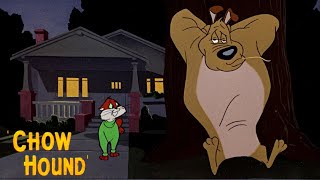 Chow Hound 1951 Warner Bros Looney Tunes Cartoon Short Film  Review [upl. by Kant662]