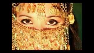 Yasar AkpenceLast harem Darbuka Solo BELLY DANCE 2 wmv [upl. by Igic]