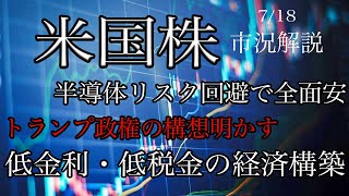 718【米国株】半導体はリスク回避で全面安！トランプが政権構想明かす！低金利・低税金の経済意識！ [upl. by Nyvek207]