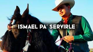 Ismael Pa’ Servirle  Panter Belico Corridos 2024 [upl. by Anerat820]