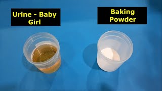 Baking Powder Gender Test  A 2000yearold ancient test [upl. by Lodi]