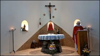 July 1 2024 Votive Mass of the Holy Spirit [upl. by Dnomyar]