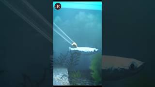 Shoot A Bullet Underwater 🤔science facts [upl. by Elatsyrk739]