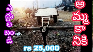 Bullock cart for sale at cost 25000 [upl. by Llerraf743]