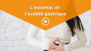 Lestomac et lacidité gastrique [upl. by Nhoj]