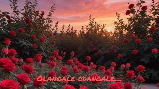 Olangale odangale [upl. by Caldeira]