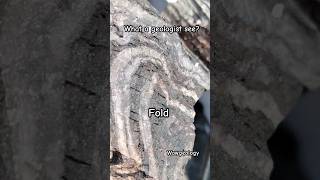 Have you seen geologist geology shorts explore iron information quartz fe ore fold woow [upl. by Meirrak]