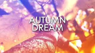 TRANCE 4 LIFE DJ MIX  Autumn Dream 🍁🍂🎃 [upl. by Jorgensen]