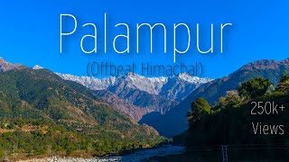 PALAMPUR │ PALAMPUR TOURIST PLACES │ OCTOBER │ BEST OFFBEAT DESTINATION IN HIMACHAL PRADESH [upl. by Tonneson974]