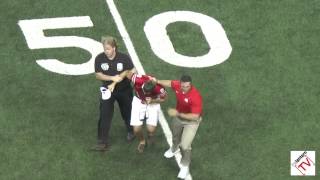 Anthony Schlegel Tackles Fan on Field [upl. by Medina467]