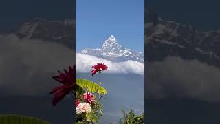 mount everest climbing video  most beautiful place in Nepal  nepal tour travel himalayas shorts [upl. by Thorn]