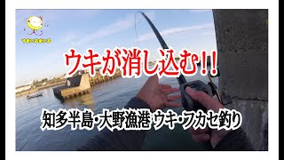 秋のフカセ釣りを楽しむ！愛知県知多半島の「大野漁港」のウキフカセ釣り [upl. by Breana152]