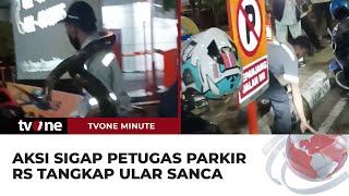 Petugas Parkir RS Tangkap Ular Sanca dari GorongGorong Leher Sempat Terlilit  tvOne Minute [upl. by Anthiathia]