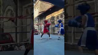 NNH One Day Boxing Tournament 2024 NNH Boxing Nagpada Mumbaicentral Mumbai [upl. by Cloutman418]