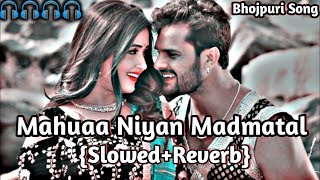 Bewafa 😭gana Lofi 📸Mahuaa Niyan 🔥Madmatal  Khesari Lal Yadav  महुआ नियन मदमातल ❤ Bhojpuri [upl. by Ayifas]