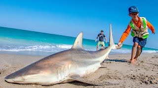 EPIC Day of Beach Fishing for Sharks and Pompano  Fan Episode  4K [upl. by Alleroif]