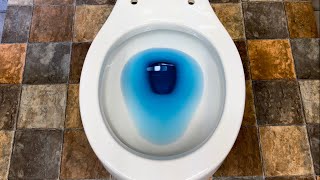 Kohler Wellworth Ingenium Blue Dye Flush Test [upl. by Anhsirk265]