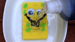 Sulfuric Acid vs Sponge  Chemical Reaction [upl. by Thay125]