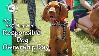 2017 AKC Flagship Responsible Dog Ownership Day [upl. by Jo Ann315]