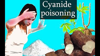 Cyanide Poisoning  Animation cyanide poisoning mechanism of action [upl. by Urion]