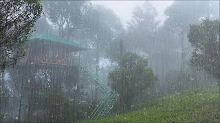 Ontspannende Regen in het Mistige Bos om in 3 Minuten te Slapen  Regengeluid en Onweer [upl. by Ollopa910]