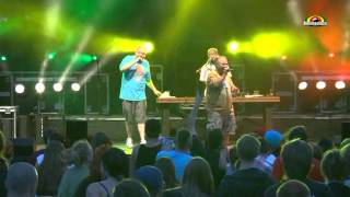 Bas Tajpan I Bob Onequot Inwazjaquot Live  Stolica Reggae Festival 2012 [upl. by Smiga978]