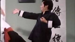 Wing Chun  The Science of Infighting Part 2 [upl. by Dacy860]