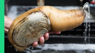 Exotic CHINESE FOOD Feast in Guangzhou 250 Snake Geoduck Sashimi and Sea Cucumber [upl. by Nollek]