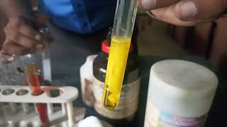 ACTIVITY 21  CLASS XI  CHROMYL CHLORIDE TEST  IDENTIFICATION OF CHLORIDE RADICAL [upl. by Nnainot898]