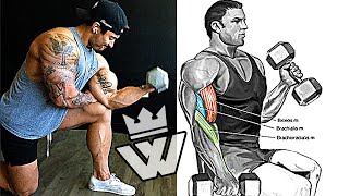 Dumbbell Workout At Home [upl. by Dwinnell]