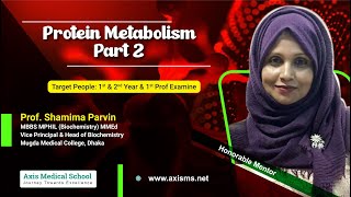 Biochemistry  Protein Metabolism Part2 [upl. by Undry]