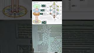 Ashayana Deane explains Kathara Grid [upl. by Kroll]