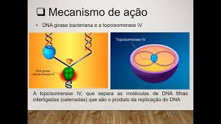 Fármacos Antimicrobianos  Quinolonas [upl. by Anaylil]