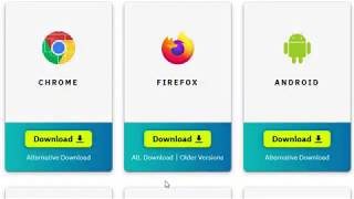 Hoxx VPN  Install Firefox Extension Manually [upl. by Diella728]