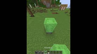 How to Make Carpet Duper in Minecraft 120 shorts [upl. by Kirbie4]