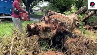 Bought Wood from Abandoned Farm Owner Earned Enough to Build a House [upl. by Jd]