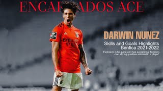 DARWIN NUNEZ quotENCARNADOS ACEquot SKILLS amp GOALS HIGHLIGHTS 20212022 BENFICA [upl. by Leind]