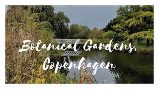 Autumn in Copenhagens Botanical Gardens [upl. by Dabbs]