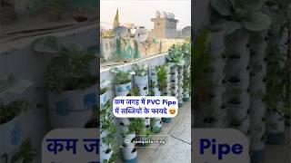 कम जगह में PVC Pipe में सब्ज़ियों के ये फायदे जान लो 😍 8527353130 [upl. by Ecal]