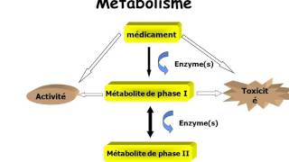 hépatite médicamenteuse partie 1 [upl. by Pfister]