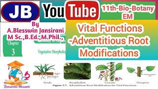 11thBioBotany3Vegetative MorphologyVital functionsAdventitious Root ModificationsBilingual [upl. by Carolann]