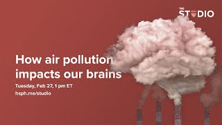 How air pollution impacts our brains [upl. by Kloster]