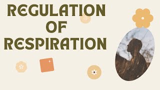 Regulation of Respiration  Respiratory Centers  Chemical control of respiration [upl. by Lluj]