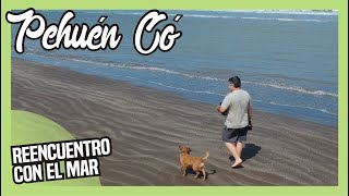 🌊PEHUEN CO🌞Costa Atlantica💦Buenos Aires [upl. by Eelimaj]