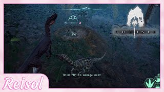 Trying out nesting 15  Troodon  The Isle Evrima HerreraDilo Update [upl. by Ethelda]